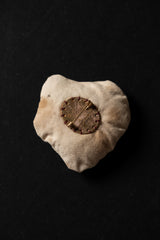 ALEKSANDR MANAMIS-PEAR-PIN