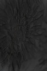 KATHARINA HOVMAN-COLLAR SHIRT FLOWER-265428-BLACK